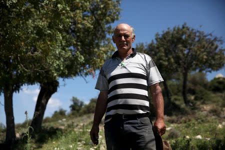 Cypriot carob farmer Michalis Makri is pictured at a carob tree grove at Anogyra, a community north of the city of Limassol in Cyprus, May 5, 2015. REUTERS/Yiannis Kourtoglou