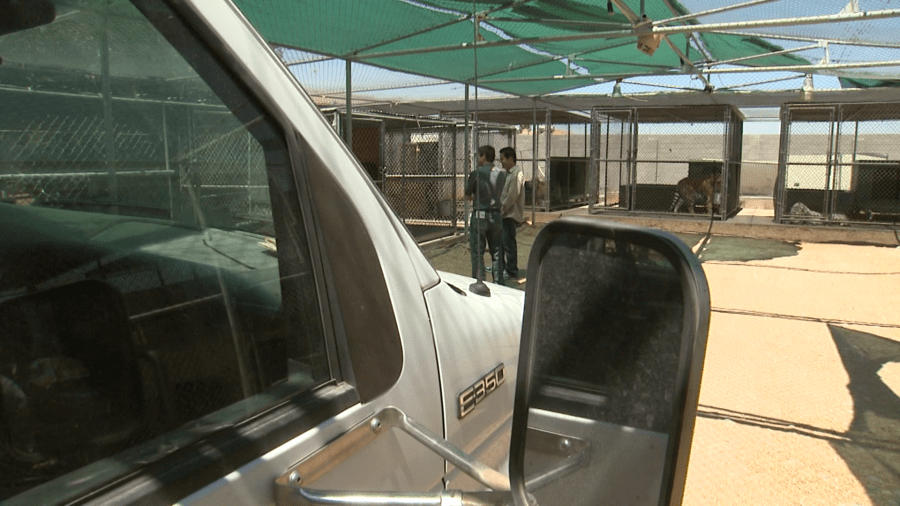 The late Dirk Arthur speaking with an 8 News Now reporter in 2008 during a visit to his south valley compound where the magician’s cats resided. (KLAS)