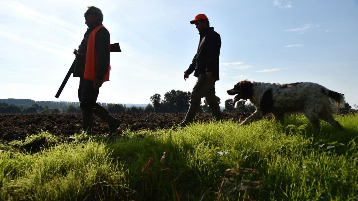 Photo d'illustration - JEAN-FRANCOIS MONIER / AFP