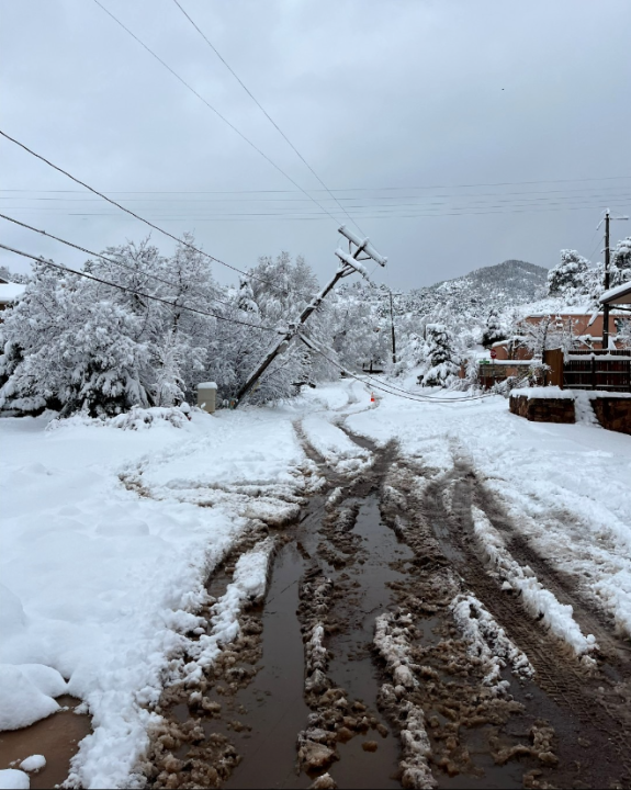 A damage power line rests across a street in Colorado Springs