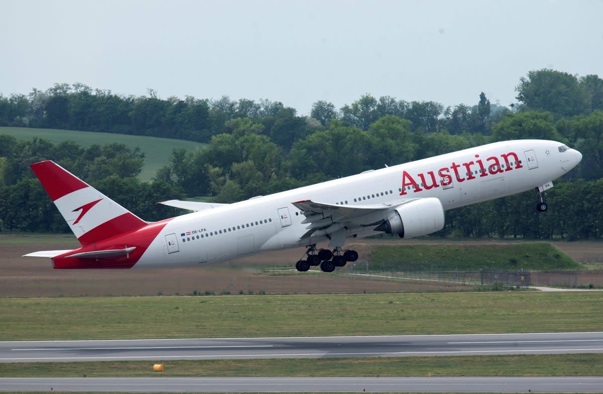 The Austrian Airlines plane was badly damaged by hailstones (file picture)  (AFP via Getty Images)