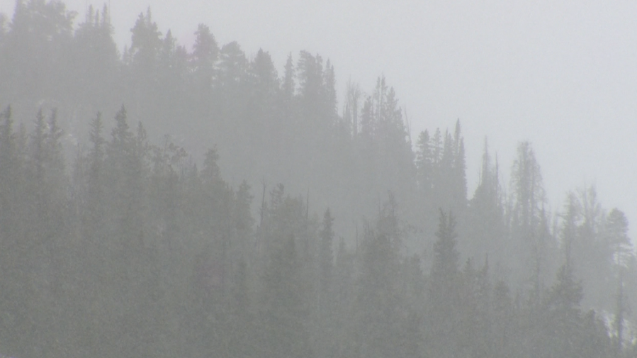 Snow clouds over the highland forest of Colorado