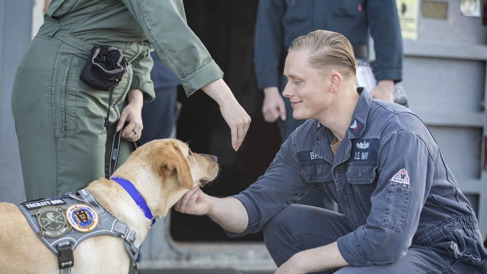 Machinist’s Mate 2nd Class Christian Bryner, assigned to the guided missile cruiser Normandy, spends time with Sage, aircraft carrier Gerald R. Ford’s facility dog, as the dog and her handlers visit Normandy on June 20, 2023. (MC2 Malachi Lakey/U.S. Navy)