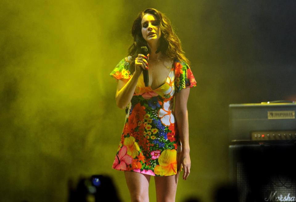 Del Rey argued that 'music is universal and should be used to bring us together': Getty Images