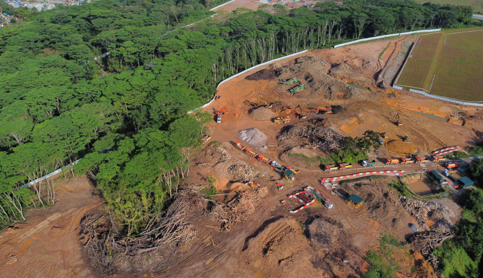 Large areas of the Kranji Woodland were erroneously cleared by a contractor of the JTC Corporation. (PHOTO: Bryce Li/Facebook)