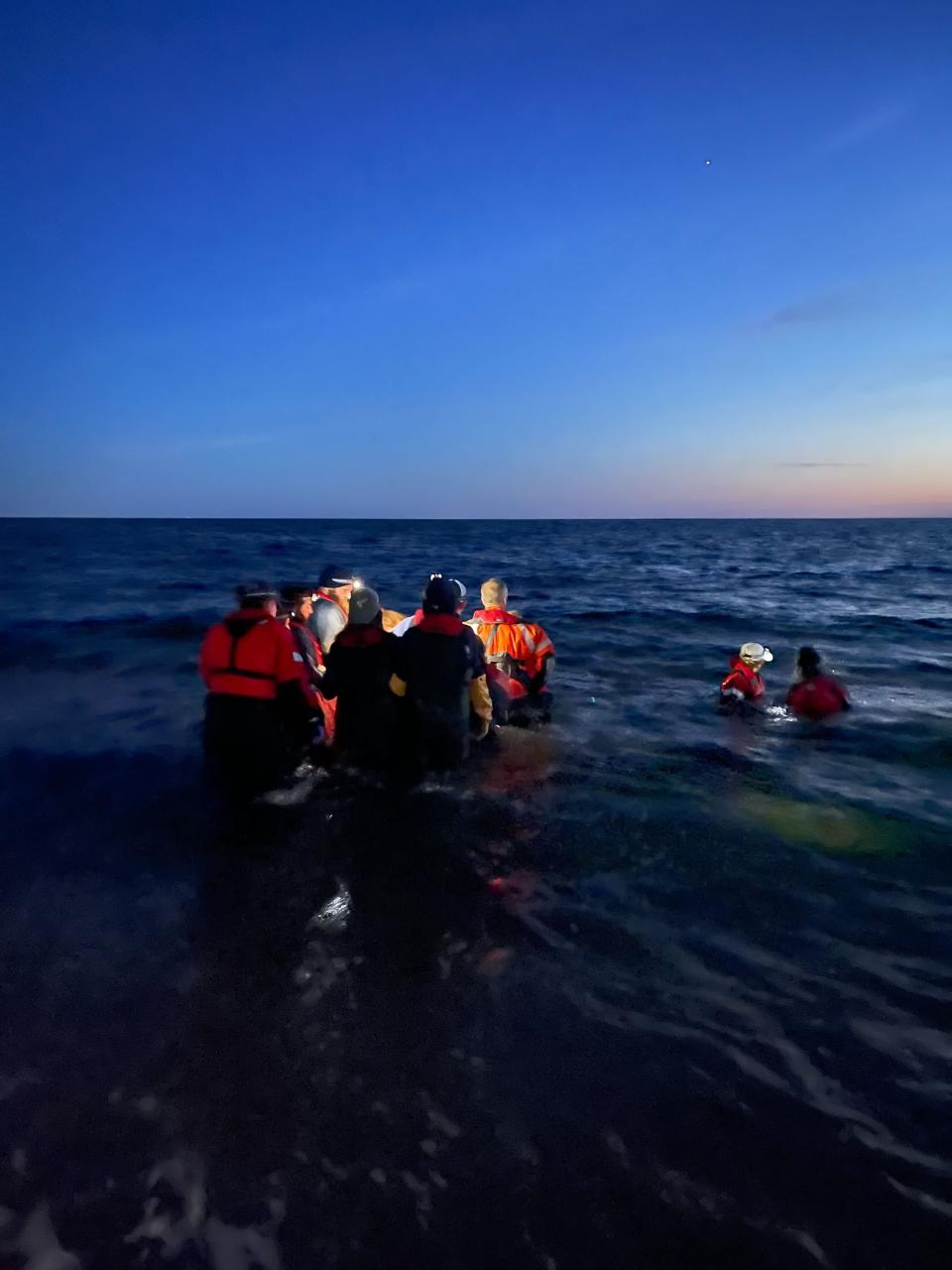 10 dolphins released into wild after seven-hour rescue effort