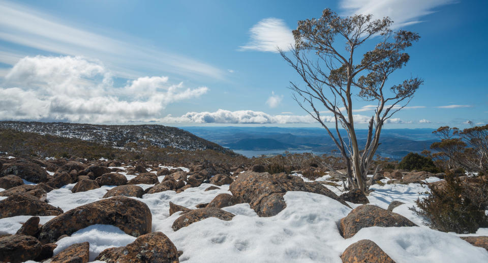 A snowy mountain in Tasmania