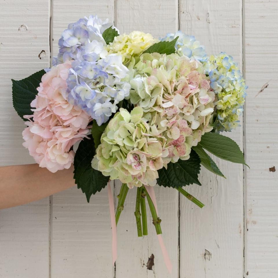 <p><a href="https://farmgirlflowers.com/cloud-sourced" rel="nofollow noopener" target="_blank" data-ylk="slk:Shop Now;elm:context_link;itc:0;sec:content-canvas" class="link ">Shop Now</a></p><p>Farmgirl Flowers Cloud Sourced</p><p>farmgirlflowers.com</p><p>$68.00</p><span class="copyright">Farmgirl Flowers</span>