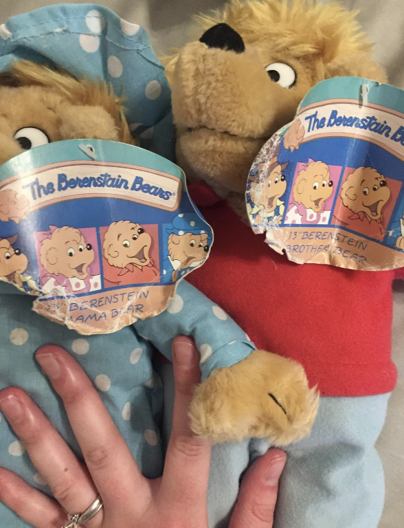 Two Berenstain Bears plush toys with Sister and Brother Bear depicted on their clothing held by a person