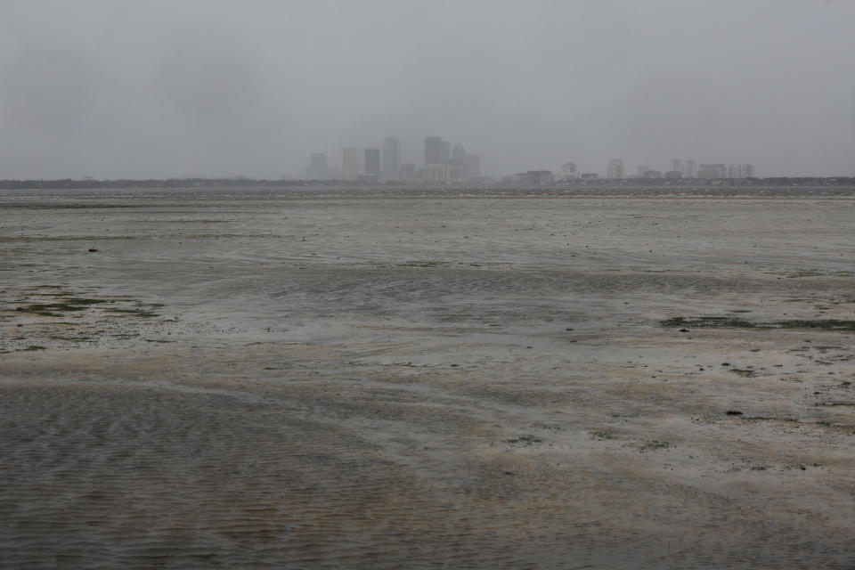 <p><strong>Tampa</strong><br>The Tampa skyline is pictured across Hillsborough Bay after water receded from the harbour ahead of the arrival of Hurricane Irma in Tampa, Fla., Sept. 10, 2017. (Photo: Chris Wattie/Reuters) </p>