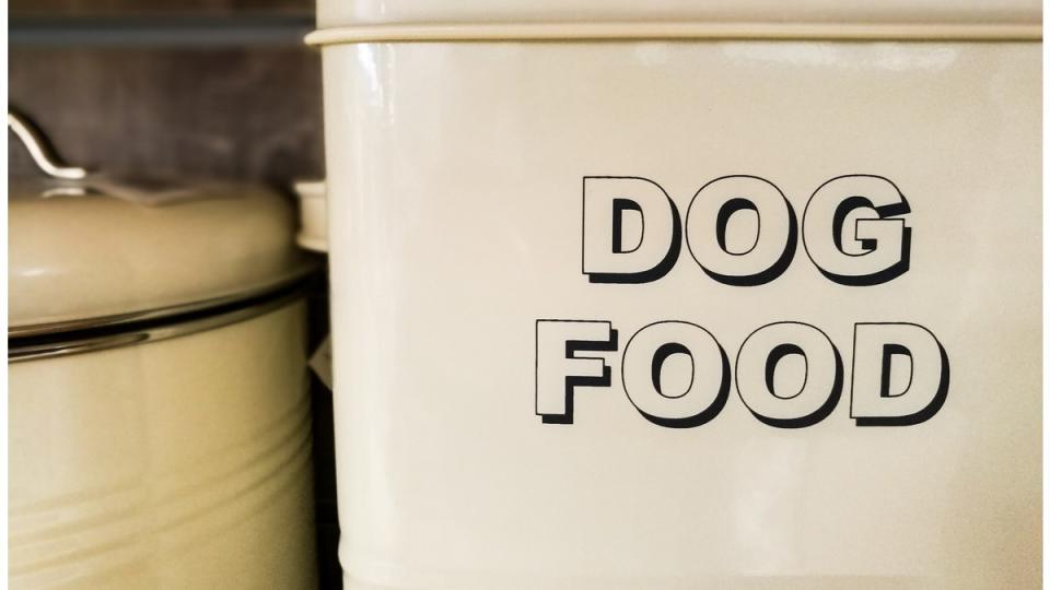 White dog food container