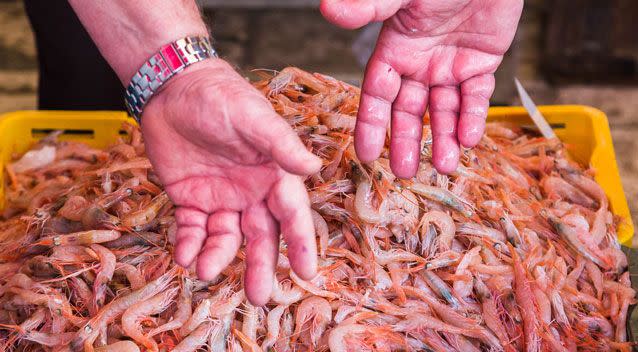 Seafood lovers are being told to stockpile prawns and freeze them due to increasing prices. Photo: Getty