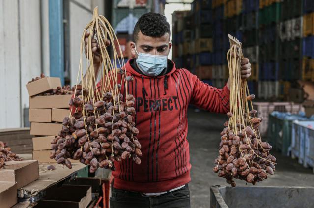 A Palestinian worker sorts and packs dates at a factory in preparation for the fasting Muslim month of Ramadan in Khan Yunis in the southern Gaza Strip on March 19, 2023 (AFP via Getty Images)