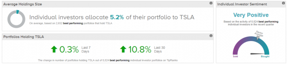 Top Investor Stock: Tesla (TSLA)