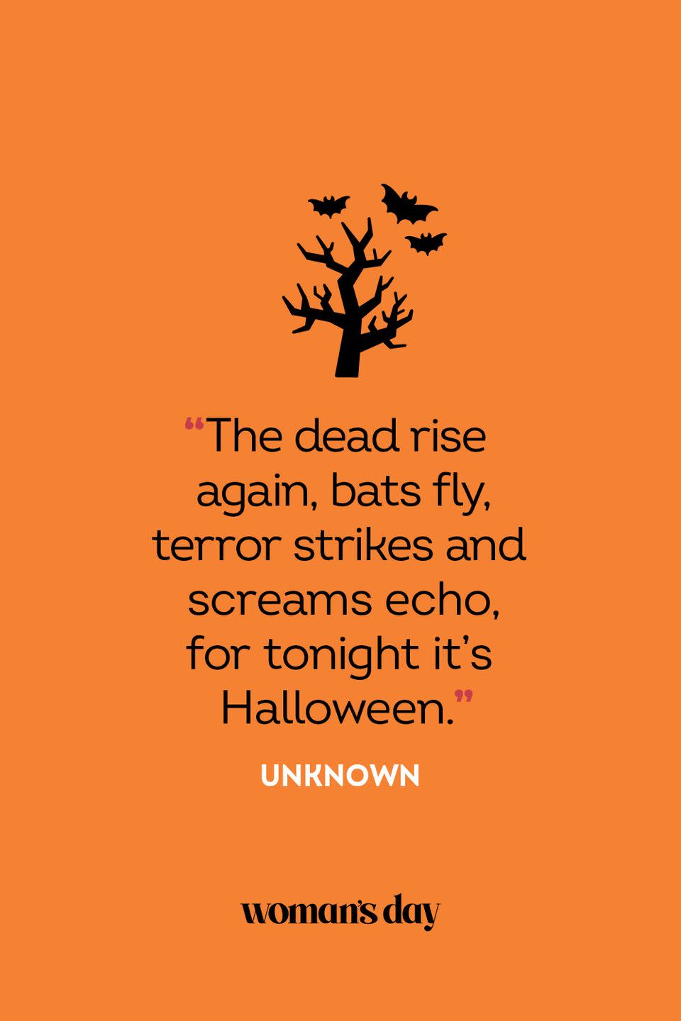 50 Scary Quotes to Make You Scream This Halloween