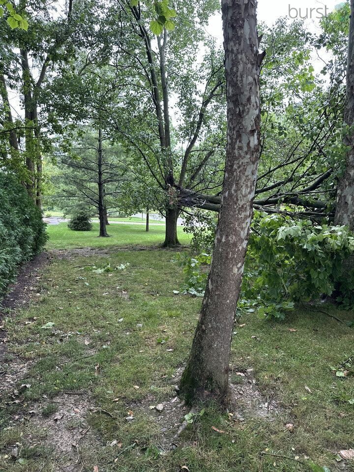 Storm Damage in the Miami Valley