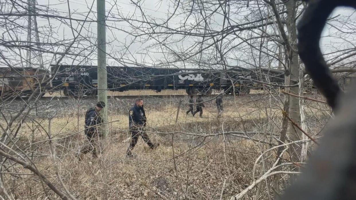 Police officers search an area near Jackson Park on Tuesday.  (Chris Ensing/CBC - image credit)