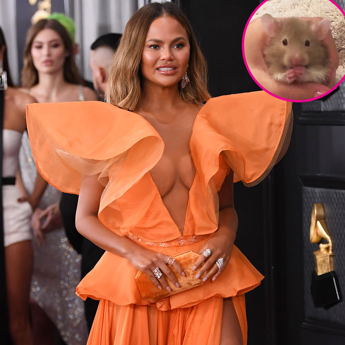 Chrissy Teigen Says Family Hamster Peanut Butter Has Died