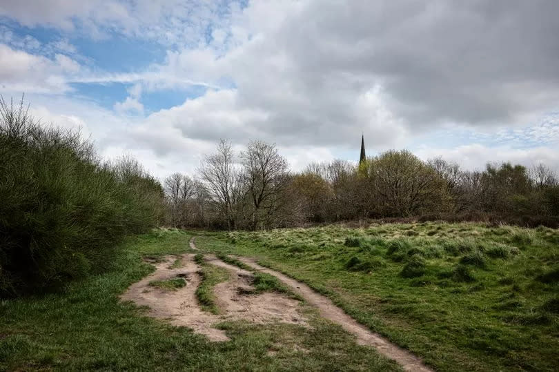 Kersal Moor - a Site of Biological Importance, three and a half miles from Manchester city centre