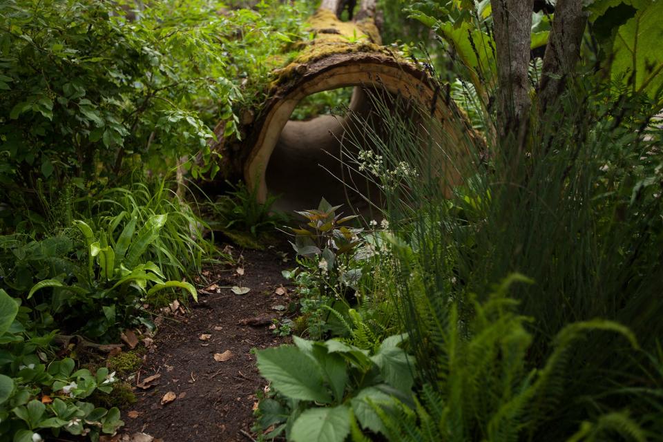 Children's playthings that adults find agreeable: a hollowed-out tree stump from the Queen's Sandringham estate.