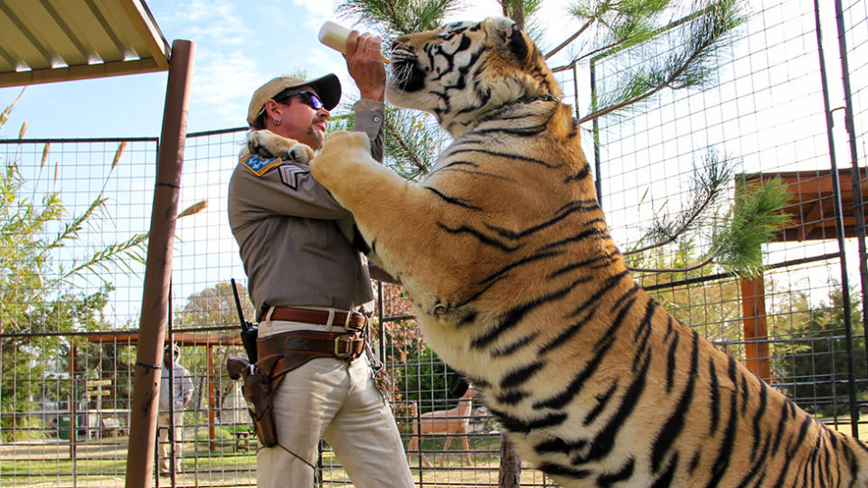 Joe Exotic in Netflix's Tiger King 