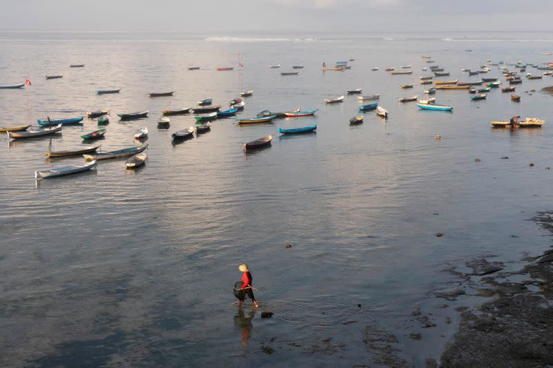 Bali islanders turn to kelp farming as tourism dries up due to COVID-19