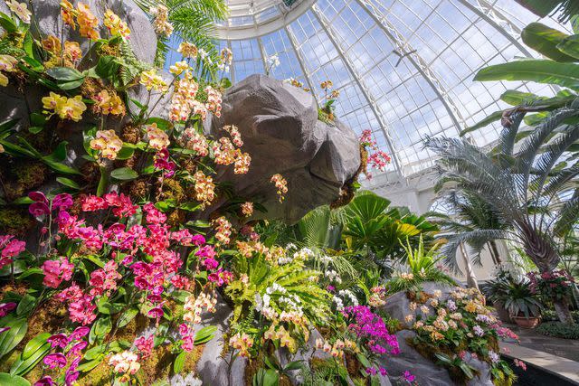 <p>Courtesy of The New York Botanical Garden</p>