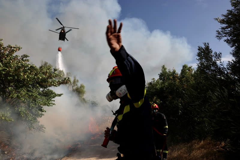 Wildfire rages in the suburb of Ano Voula in Athens