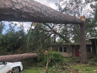 Mayo Street, located just west of Stadium Drive, suffered heavy damage in Friday's storms, with two to three trees on seven different homes.