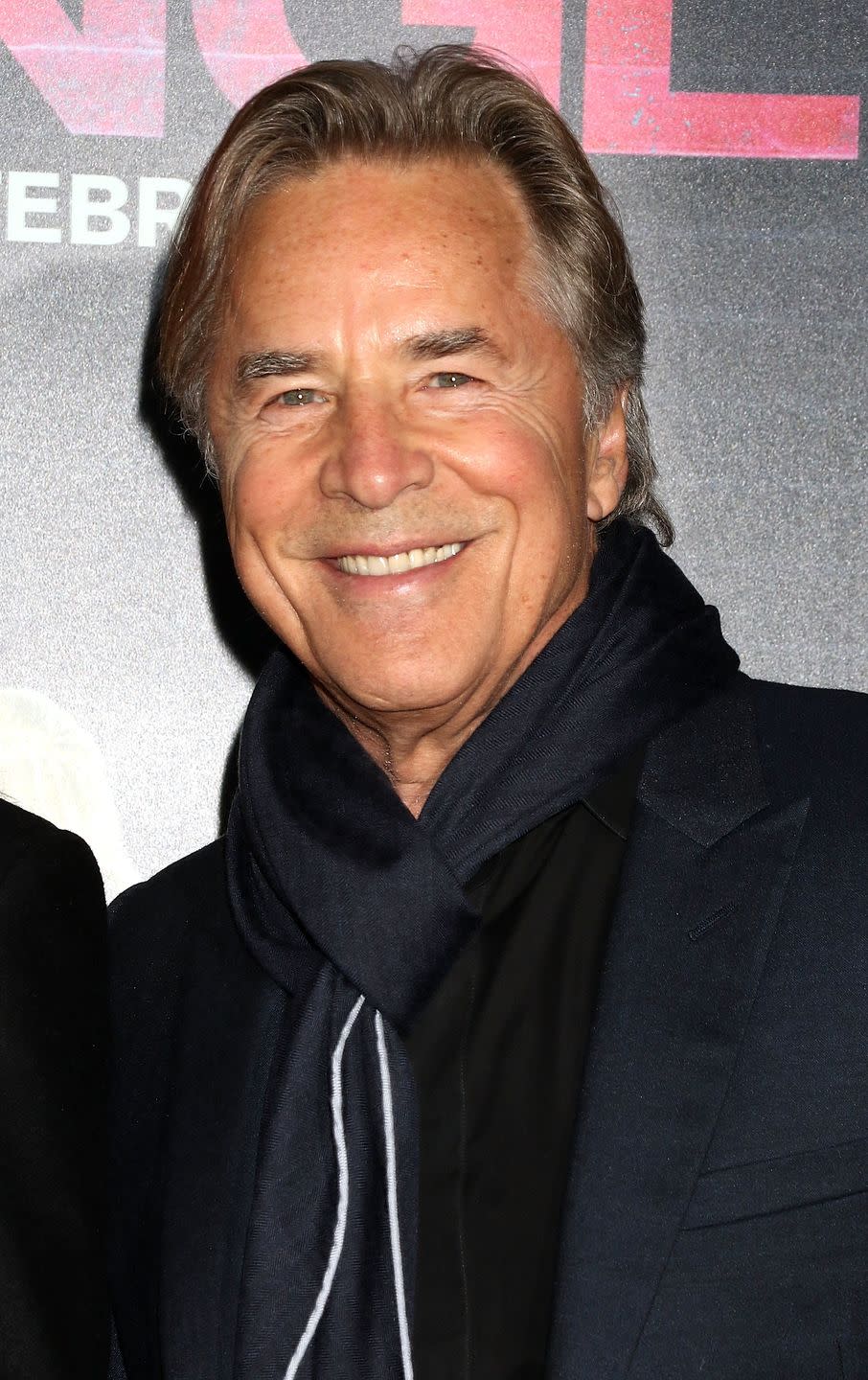 <p>During the '90s, Don again fought crime as the lead in <em>Nash Bridges</em> from 1996 until 2001. While he's traded in his pastel blazers for chic scarves, we still think he's a silver fox.</p>