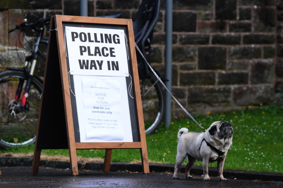 A dog outside Pollokshields Burgh Halls in Glasgow during the 2024 General Election. Picture date: Thursday July 4, 2024. (Photo by Andrew Milligan/PA Images via Getty Images)