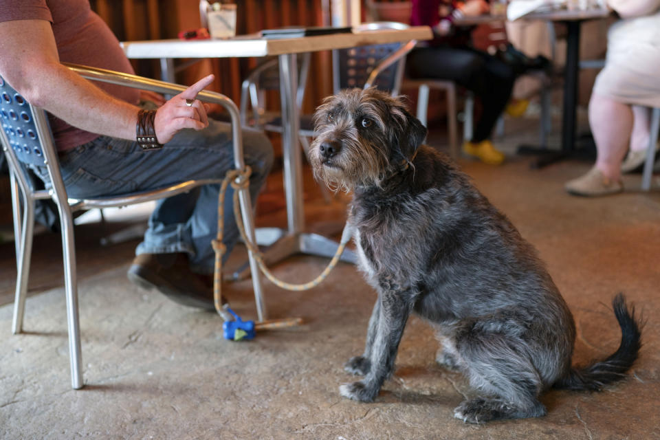 Monty Hobbs gestures towards his dog Mattox on the patio at the Olive Lounge in Takoma Park, Md. Thursday, May 4, 2023. Just in time for the summer dining season, the U.S. government has given its blessing to restaurants that want to allow pet dogs in their outdoor spaces. (AP Photo/Jose Luis Magana)