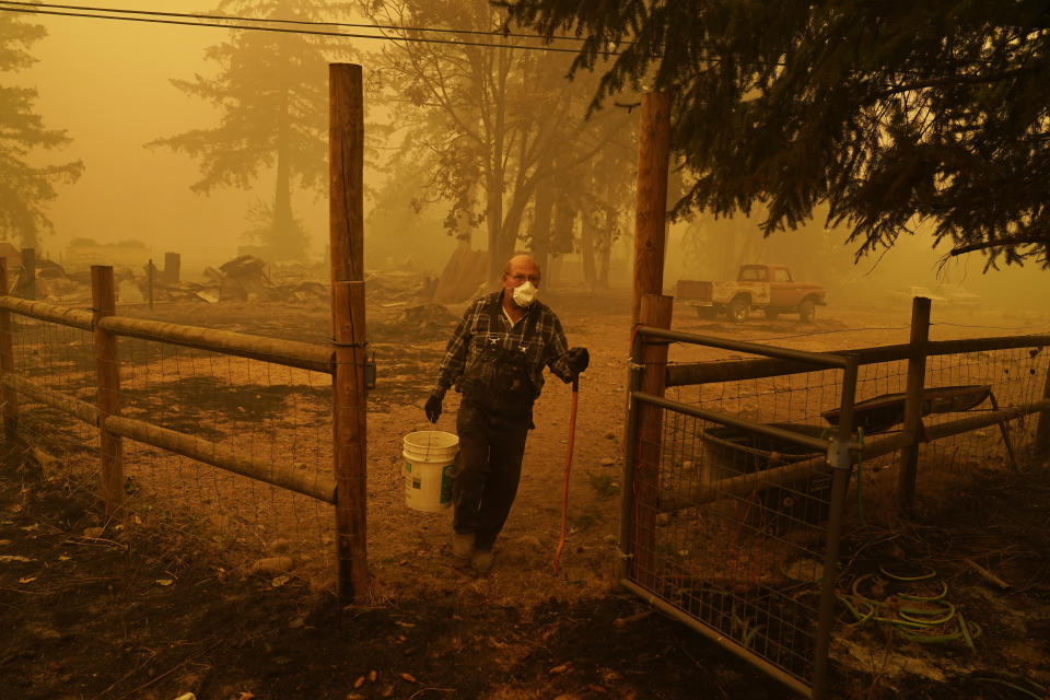 George Coble carries a bucket of water to put out a tree still smoldering on his property destroyed by a wildfire Saturday, Sept. 12, 2020, in Mill City, Ore. (AP Photo/John Locher)