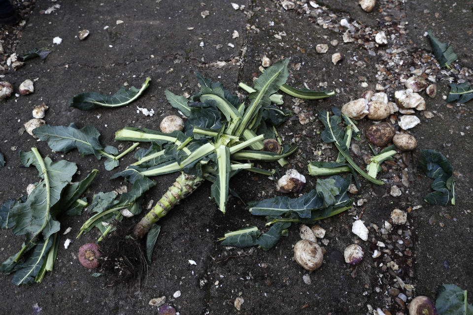 In this photo taken on Sunday, Jan. 19, 2020, turnips thrown at Jarramplas are seen on the ground during the Jarramplas festival in the tiny southwestern Spanish town of Piornal, Spain. The Jarramplas festival, meanwhile, features a man in multicolored garb and pointy wooden headgear to shield himself from turnips. A crowd of men in the street pelt the man with the vegetables from close range at the fiesta held annually at Piornal, 200 kilometers west of Madrid, over two days. (AP Photo/Manu Fernandez)