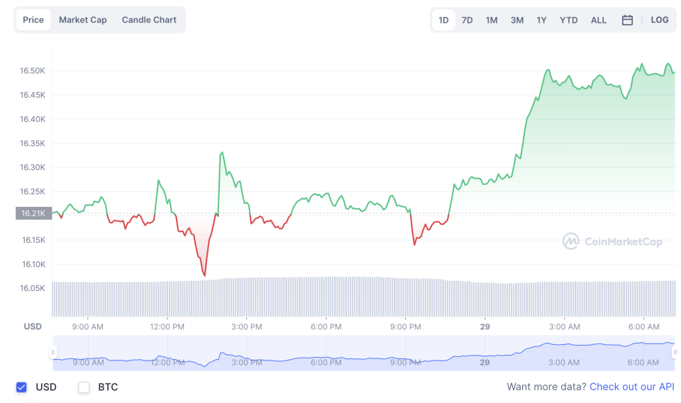 La variación del precio del Bitcoin en el último año. Fuente: coinmarketcap.com.