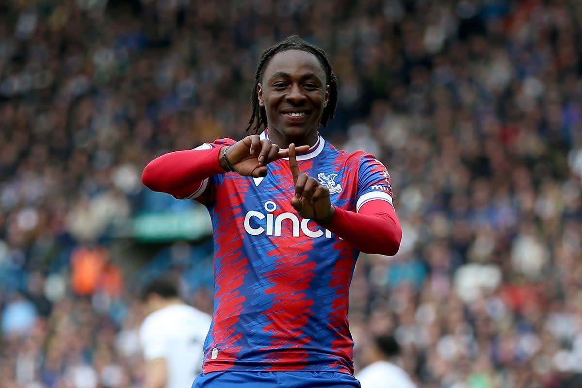 Eze scored six goals in nine games after Roy Hodgson’s return to the Crystal Palace dugout (PA Wire)