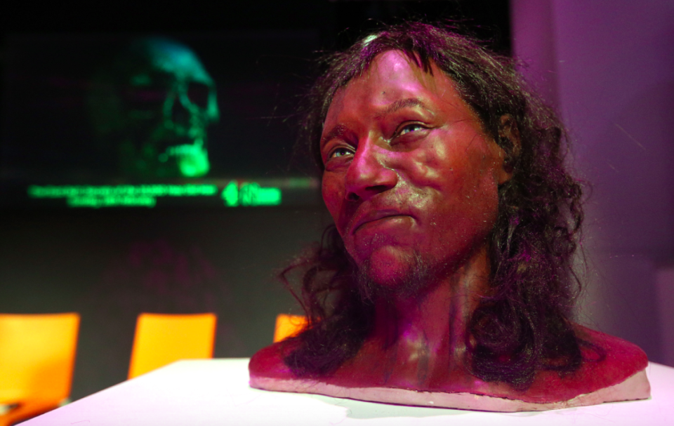 <em>Previous reconstructions of Cheddar Man, which were not based on DNA data, depicted him with a lighter skin tone (PA)</em>