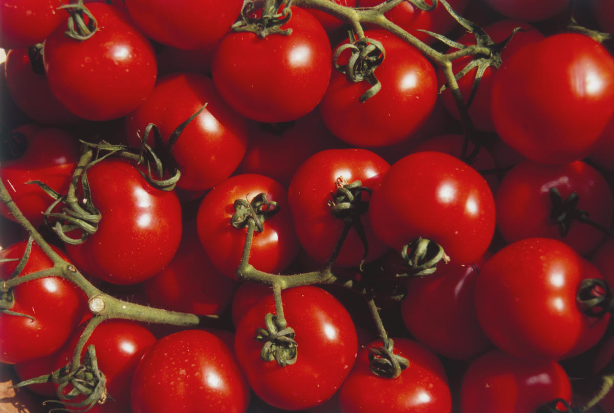 Zwei Wochen lang Tomaten zu essen, ist gut für die Gesundheit