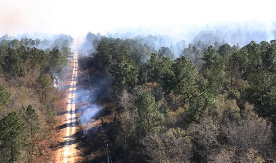 Forestry officials at Fort Stewart combine pre-burning with pre-existing features such as roadways to prevent fire from spreading past desired areas during prescribed burns.
