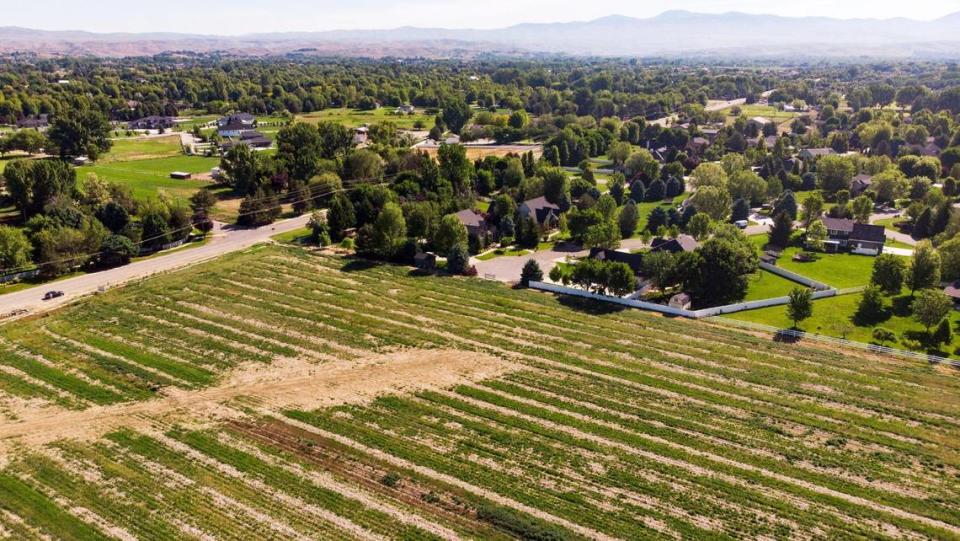 A former Eagle mayor wanted this property along Floating Feather Road at Meridian Road to be named West Park and include three baseball fields and a dog park. A new mayor and city council elected in 2019 have decided the park is not needed, and will auction it off June 8.