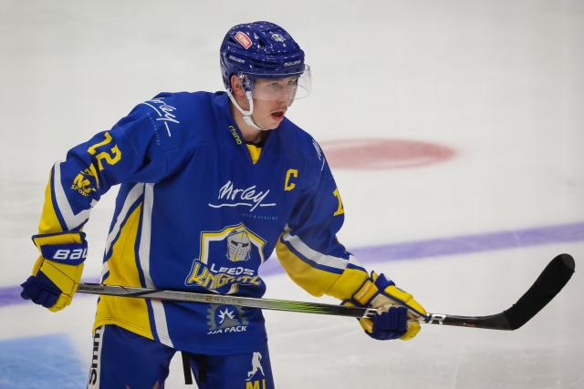 Leeds Knights, Hull Seahawks and Sheffield Steeldogs - how they