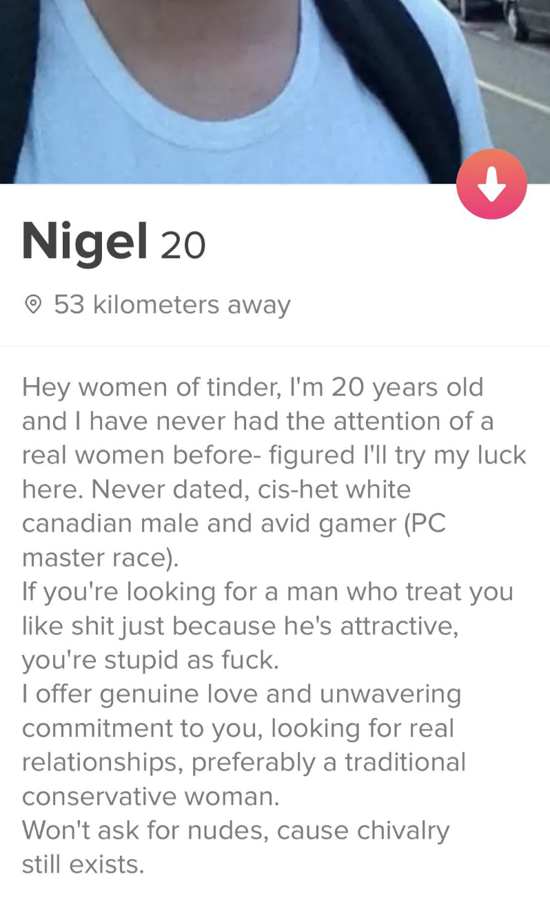 I'm 20 and have never had the attention of a real women before, never dated, cishet white male and avid gamer; if you're looking for man who treat u like shit, you're stupid as fuck; I offer genuine love, won't ask for nudes 'cause chivalry still exists