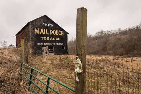 A barn bearing a painted advertisement for the West Virginia Mail Pouch chewing tobacco company is seen along PA-21 in Greene County, Pennsylvania, U.S., February 14, 2018. Picture taken February 14, 2018. REUTERS/Maranie Staab