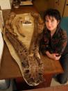 The old female pliosaur sported huge jaws (its lower jaw shown here with researcher Judyth Sassoon) and teeth about 8 inches (20 centimeters) long.