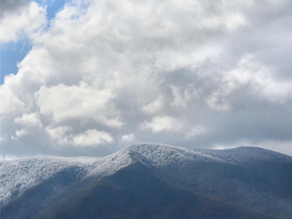 Fresh snow covers trees at crest of Mount Mitchell in North Carolina.