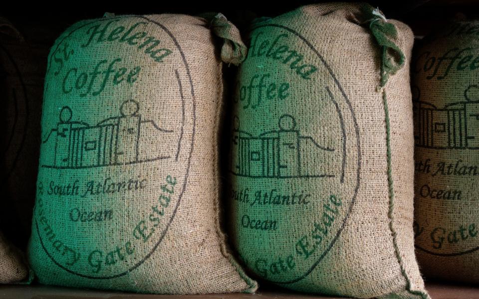 Saint Helena coffee beans