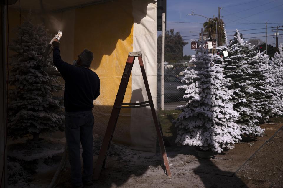 FILE - Christmas tree farm owner Ralph Edwards sprays flocking on a tree to give it a snow-covered appearance in La Mirada, Calif., Dec. 4, 2023. (AP Photo/Jae C. Hong, File)