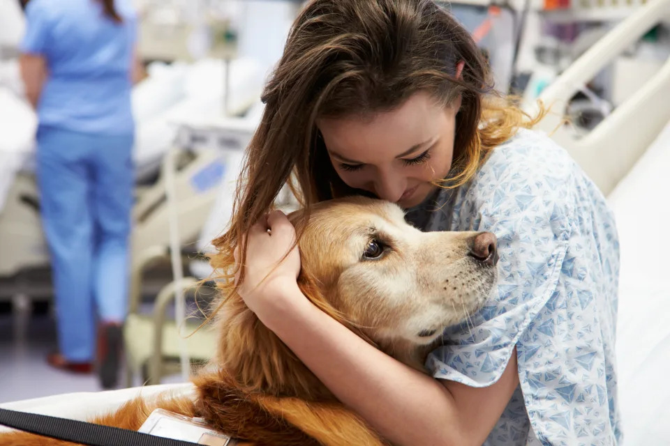 Like medicine: Dogs can reduce pain, according to researchers