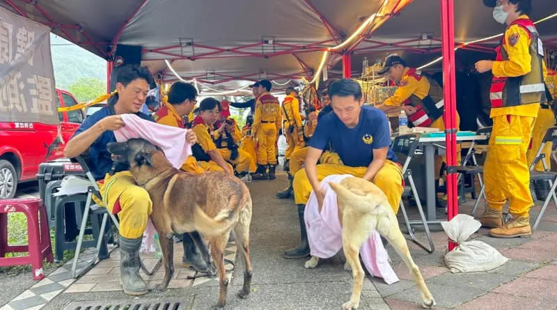 ▲「羅傑計劃」透露，搜救犬不穿鞋的原因，就是因為目前市面上完全沒有適合高強度訓練搜救犬能穿的鞋子。（圖／翻攝搜救犬羅傑計畫臉書）