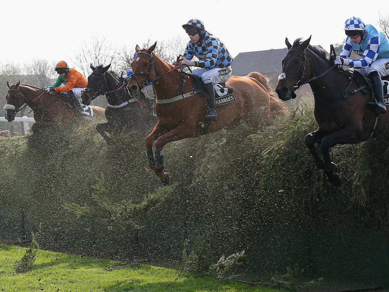 The League Against Animal Cruelty has asked for the jump to be removed: Getty